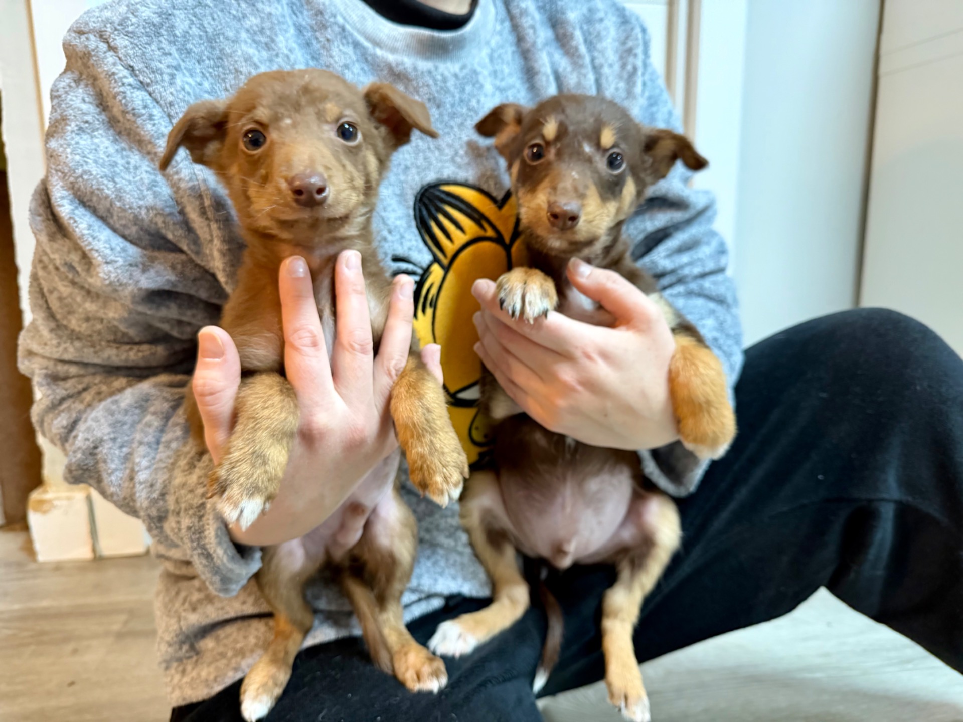 CHARCO Y BARRO, 2 meses