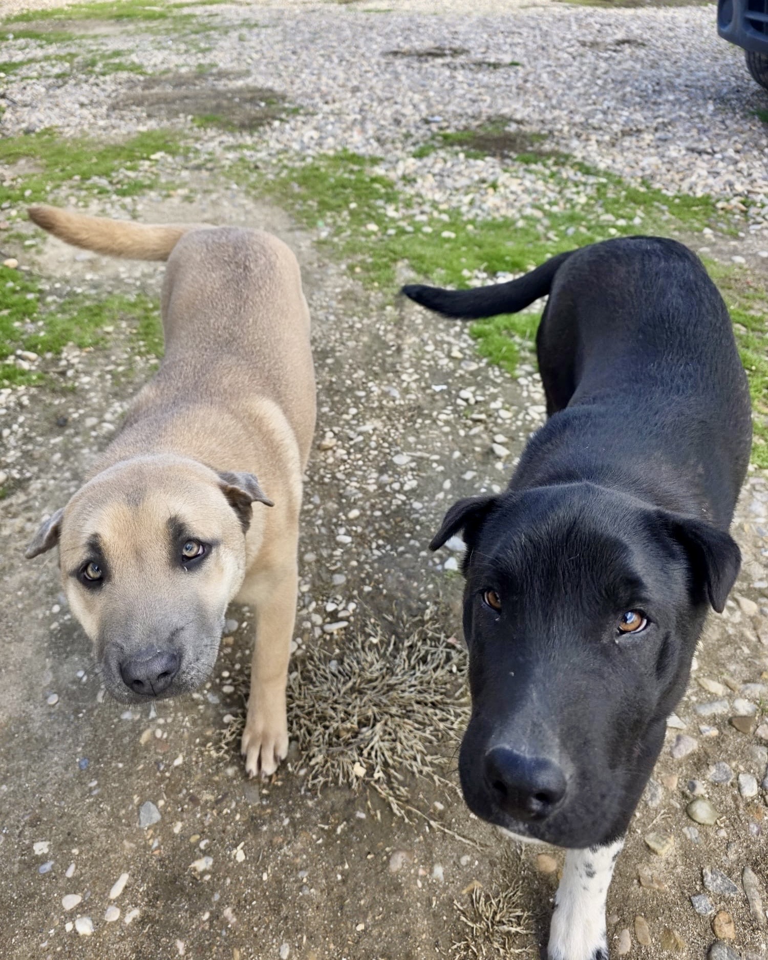 MARIO Y PEACH, 6 meses